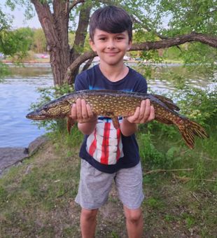 Northern Pike: Fierce Thrills Await!